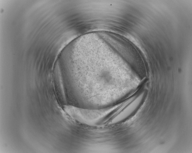 X0000089381145200707061132