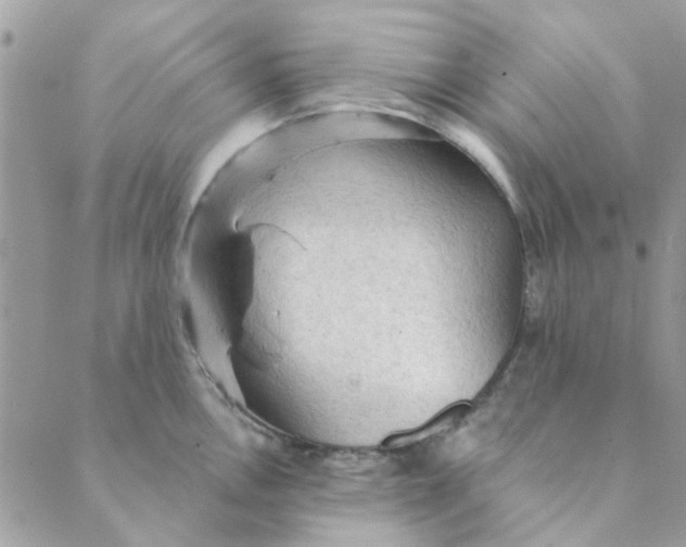 X0000089381146200707061132