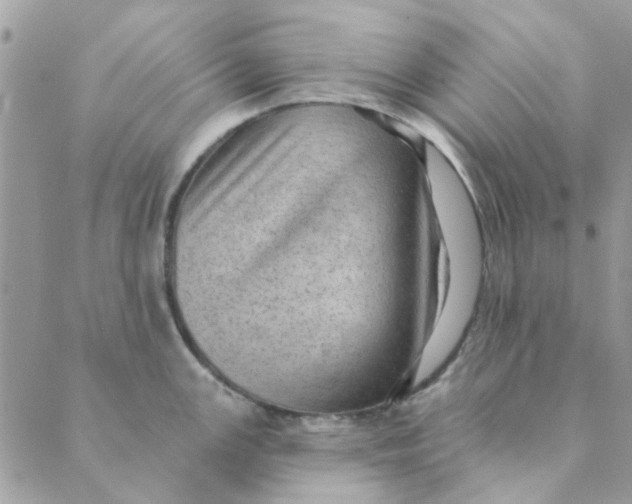 X0000089381147200707061133