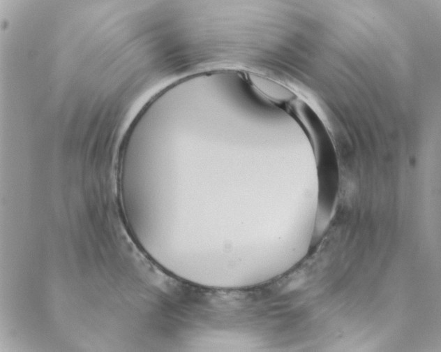 X0000089381148200707061133