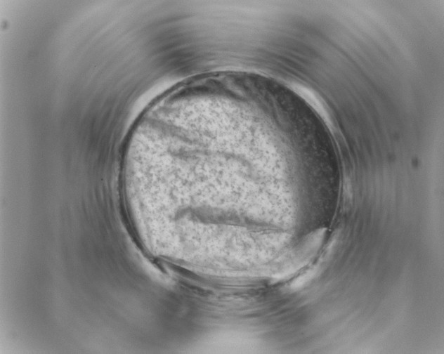 X0000089381149200707061133