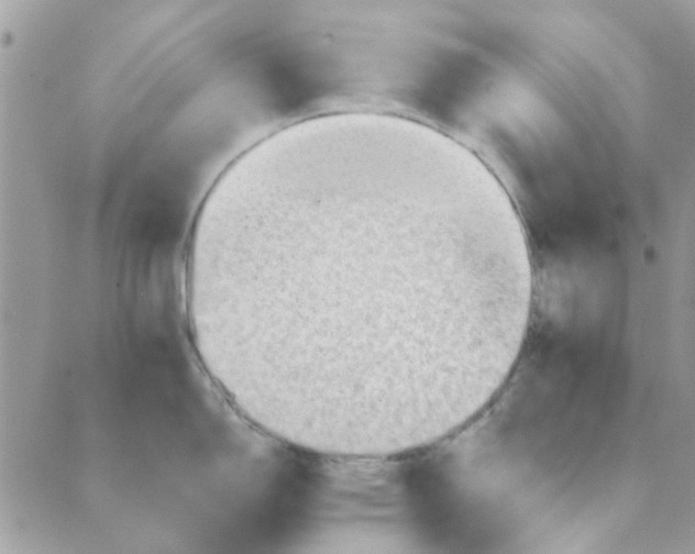 X0000089381150200707061133