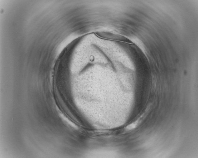 X0000089381151200707061133