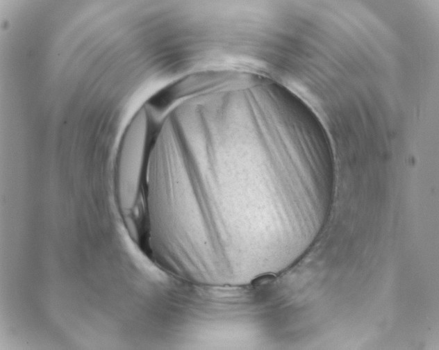 X0000089381152200707061133