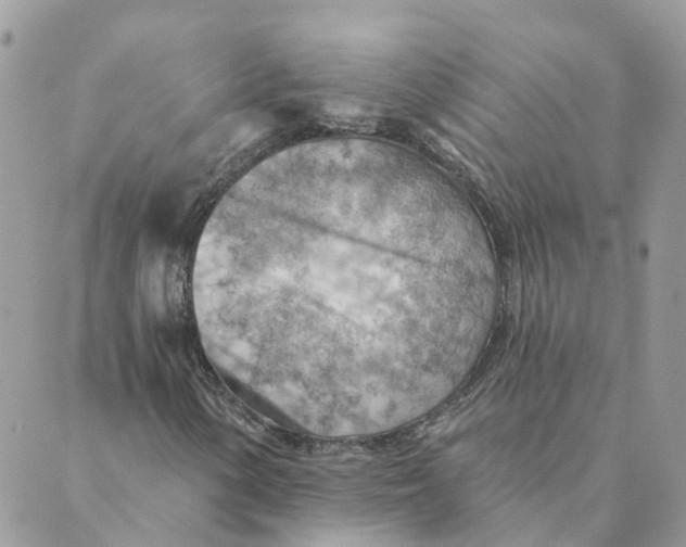 X0000089381154200707061132