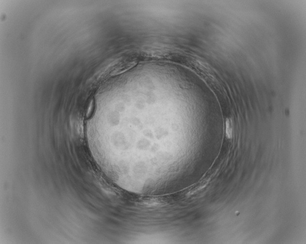 X0000089381155200707061132