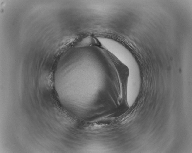 X0000089381156200707061132