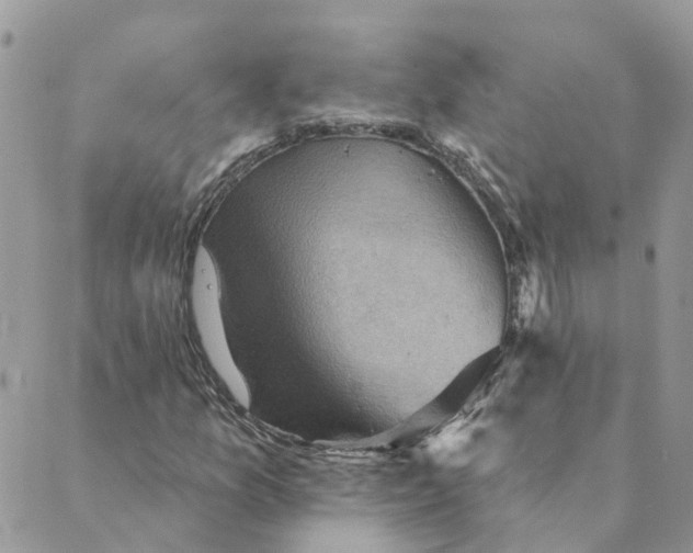 X0000089381157200707061132