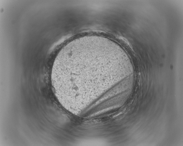 X0000089381159200707061132