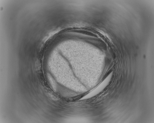 X0000089381160200707061132