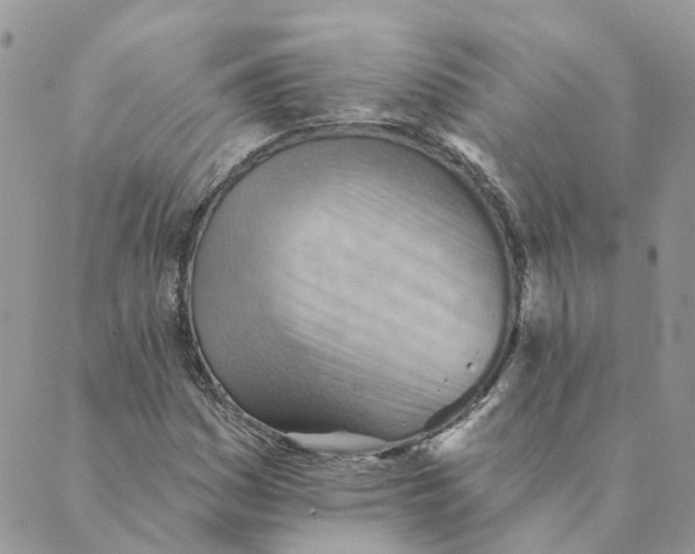 X0000089381161200707061132