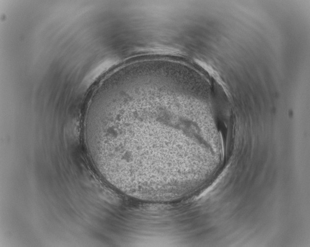 X0000089381163200707061132