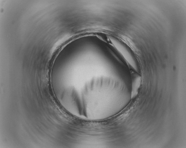 X0000089381164200707061132