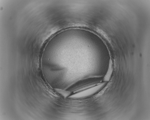 X0000089381165200707061132