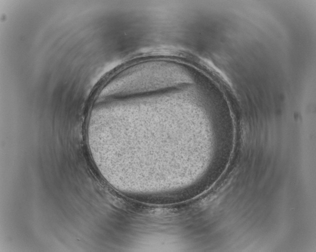 X0000089381166200707061132