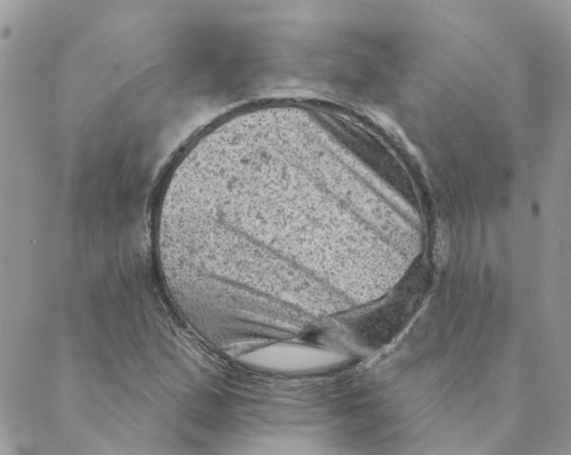 X0000089381167200707061132