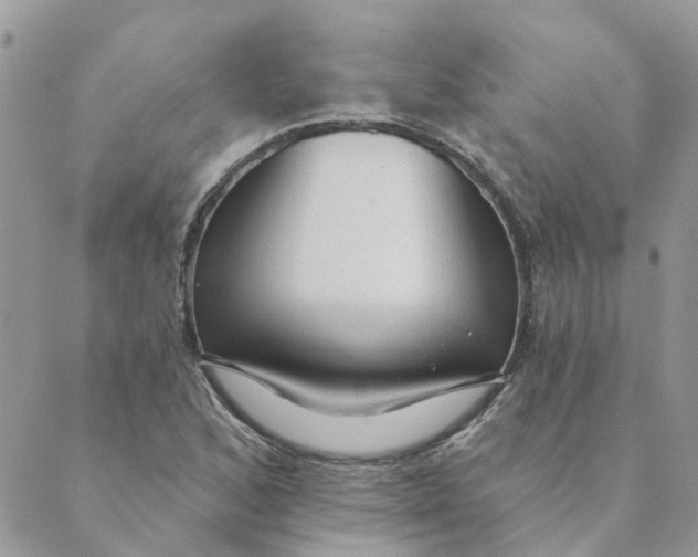 X0000089381168200707061132