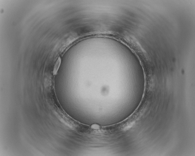 X0000089381169200707061132