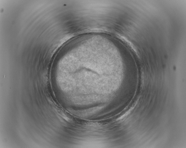 X0000089381170200707061132