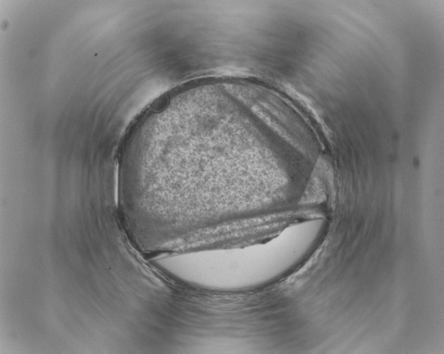 X0000089381171200707061132