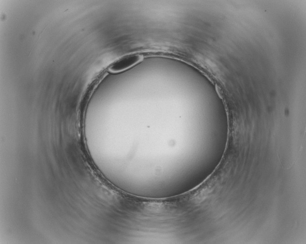 X0000089381172200707061132