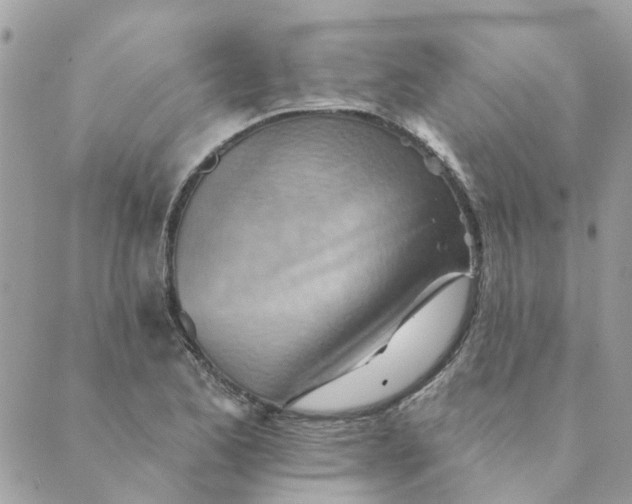 X0000089381173200707061131