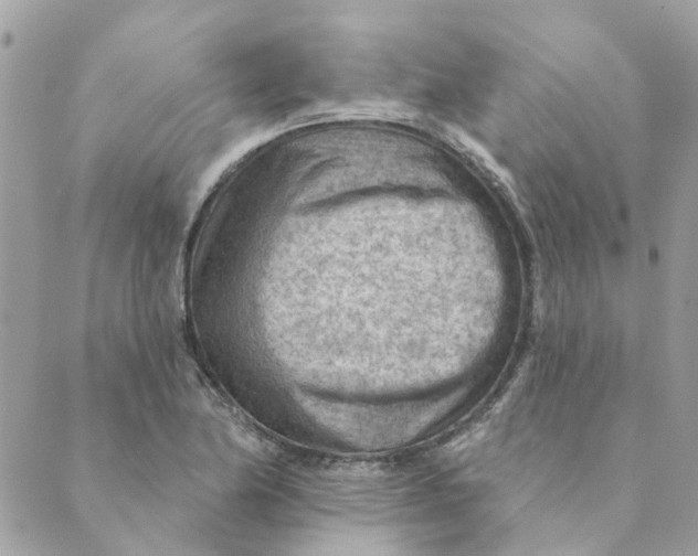 X0000089381174200707061131