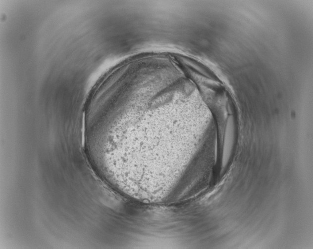 X0000089381175200707061131