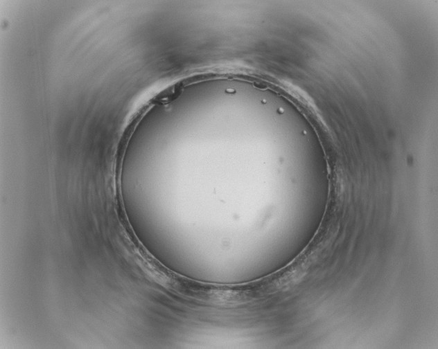 X0000089381176200707061131