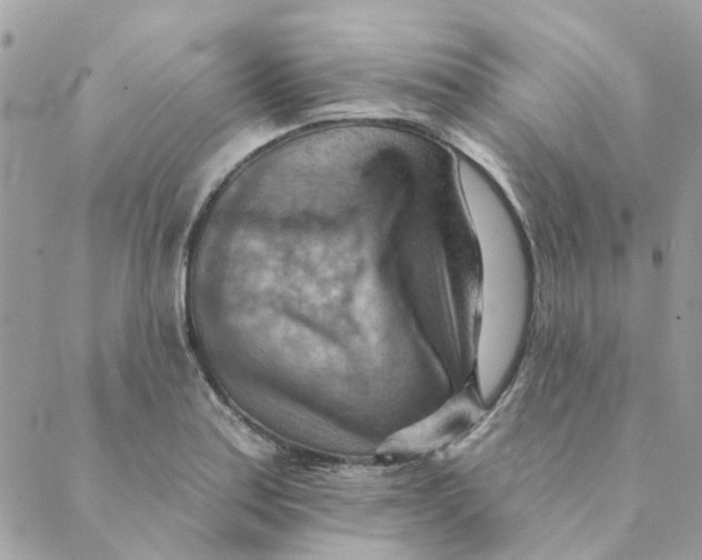 X0000089381179200707061131