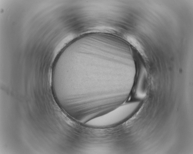 X0000089381180200707061131