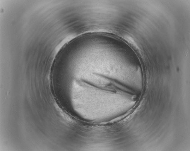 X0000089381181200707061131