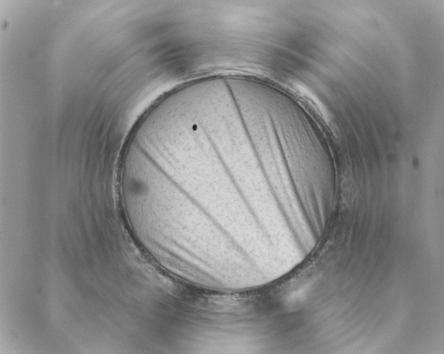 X0000089381182200707061131