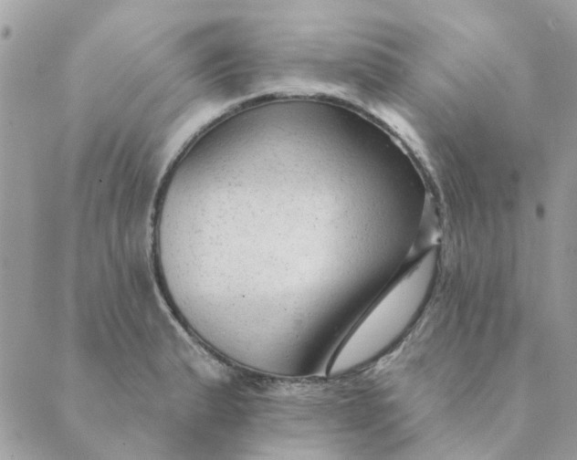 X0000089381183200707061131