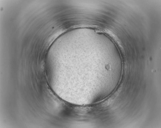 X0000089381185200707061131