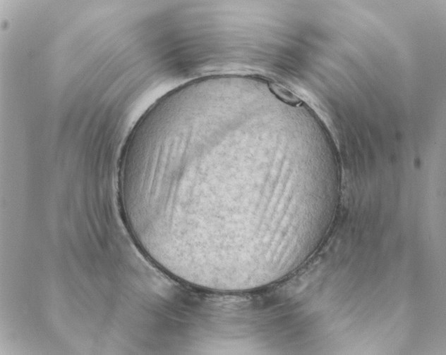 X0000089381187200707061131