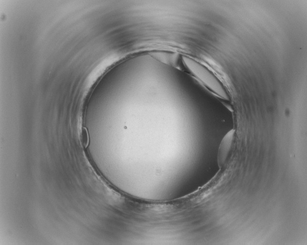 X0000089381188200707061131