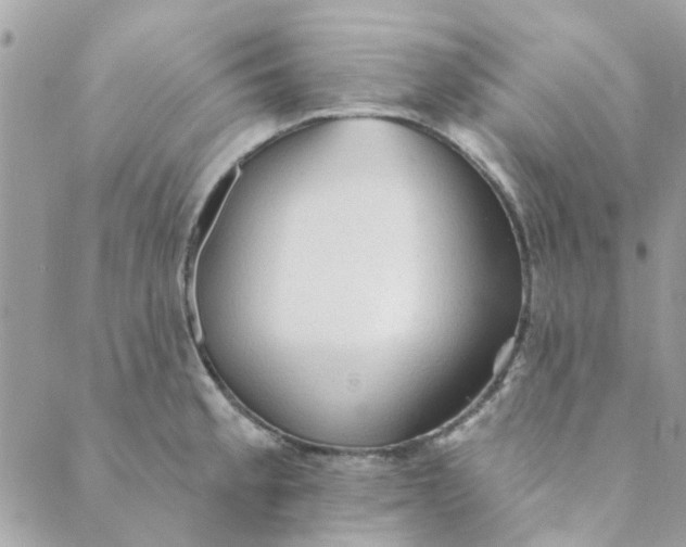 X0000089381189200707061131