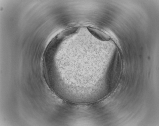 X0000089381190200707061131