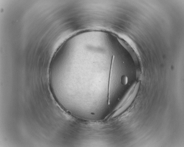 X0000089381191200707061131