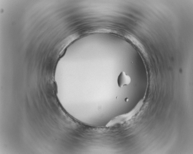 X0000089381193200707061131