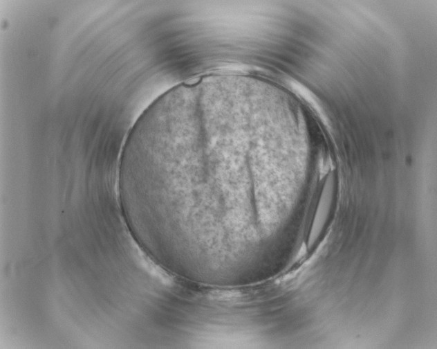 X0000089381194200707061131