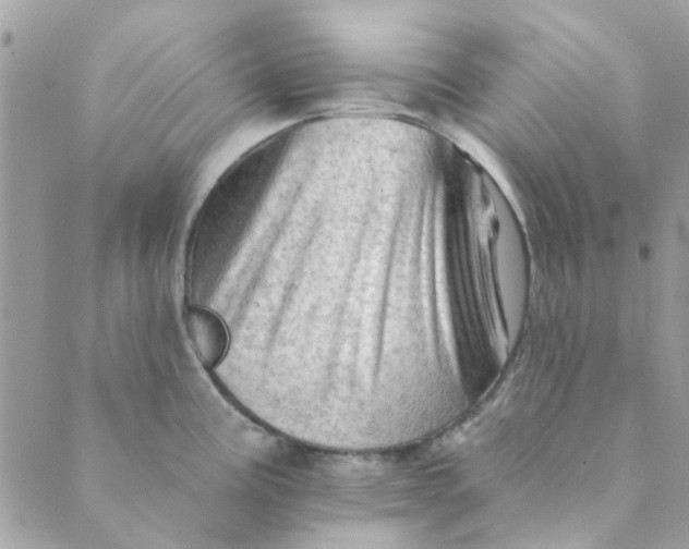 X0000089381195200707061131