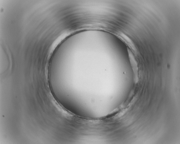 X0000089381196200707061131