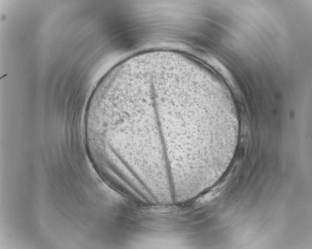 X0000089381199200707061131