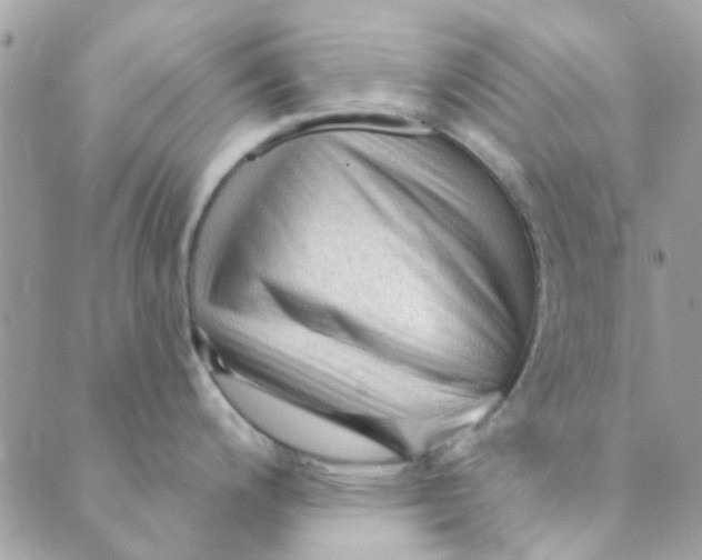 X0000089381200200707061131