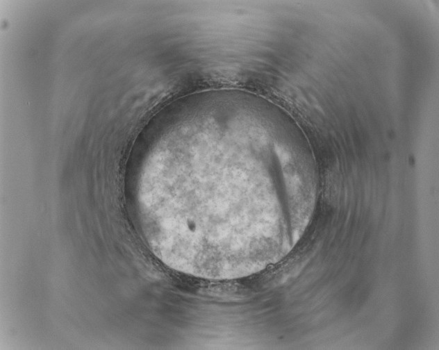 X0000089381201200707061130