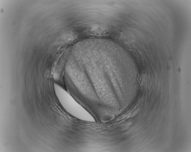 X0000089381202200707061130