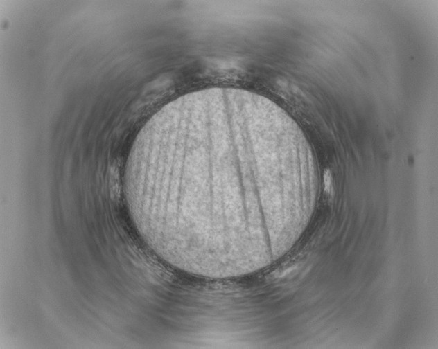 X0000089381203200707061130