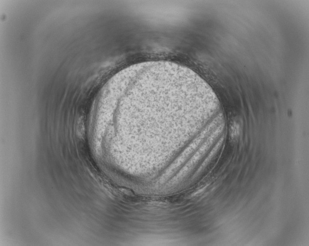 X0000089381204200707061130